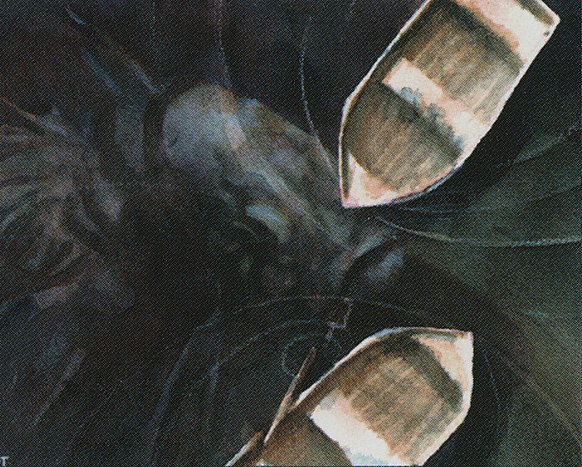 File:Dandân ARN Tucker.jpg