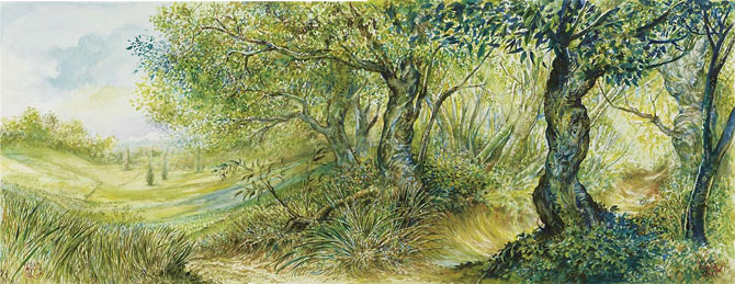 File:Db1 PlainsForest Rayyan.jpg