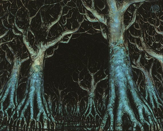 File:Skyshroud Forest.jpg