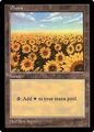 Plains in Japan from Red Booster