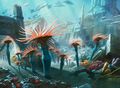 Clinging Anemones