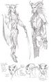 Concept art of Gilt-Leaf elves