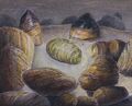 Dan Frazier Is Back Again: The Allied Talismans bonus card art