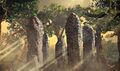 Thumbnail for version as of 09:16, 20 January 2025