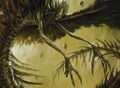 Thumbnail for version as of 09:51, 20 January 2025