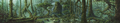 Jukai Panorama