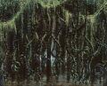 Thumbnail for version as of 11:24, 14 April 2025