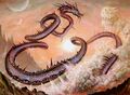 Thumbnail for version as of 09:33, 20 January 2025