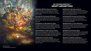 The ten color-pair archetypes for Bloomburrow limited with their associated creature type.