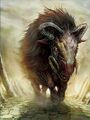 Artwork of the token