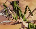 Thumbnail for version as of 06:13, 22 February 2025