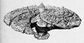A detailed view of Mercadia City with one of its sections removed