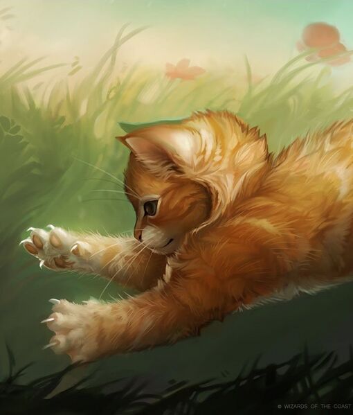 File:Merge to Kitten.jpg