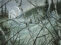 Thumbnail for version as of 03:41, 13 March 2025