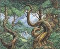 Thumbnail for version as of 09:42, 20 January 2025