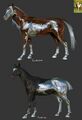 Chrome American Paint horses.[8]