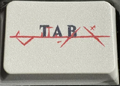 Thumbnail for version as of 08:08, 20 January 2025