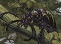 Thumbnail for version as of 18:01, 9 May 2025