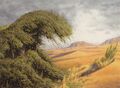 Thumbnail for version as of 07:51, 24 April 2025