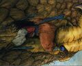 Thumbnail for version as of 07:54, 20 January 2025