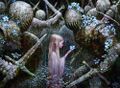 Thumbnail for version as of 00:57, 8 May 2025