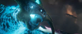 Closeup of Ureni.