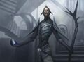 Thumbnail for version as of 08:32, 20 January 2025