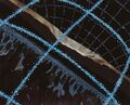 Thumbnail for version as of 14:25, 16 June 2025